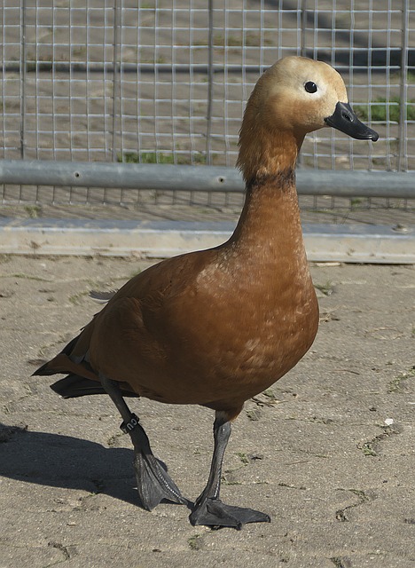 还充分体现